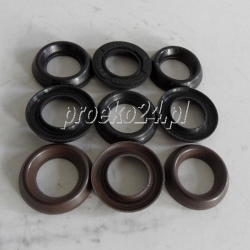 KIT 88 ZESTAW USZCZELNIEŃ DN15 INTERPUMP